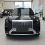 2026 Zeekr 8X - Деталь 2