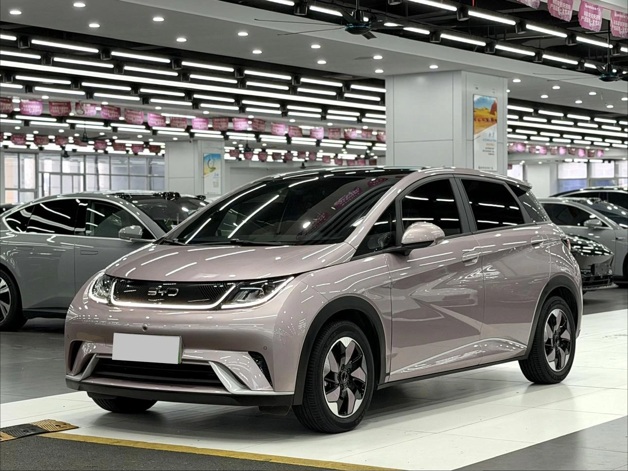 Byd Dolphin 2024 года FWD с пробегом SUV - Оптовый экспорт B2B