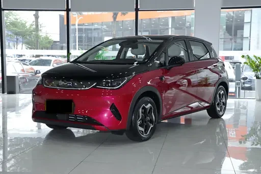 2025 Byd Dophin